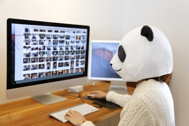 オンライン会社説明会